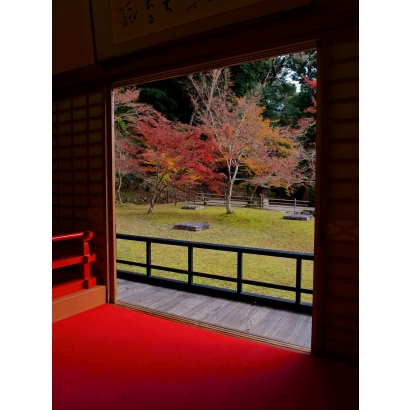 47196456_1123555864492154_8224140851694010368_n.jpg 47196456_1123555864492154_8224140851694010368_n.jpg